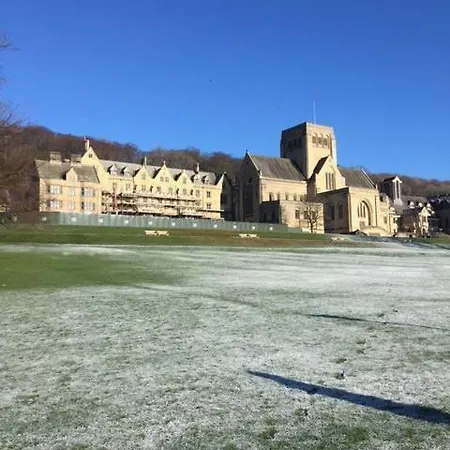 Bulldog Ampleforth