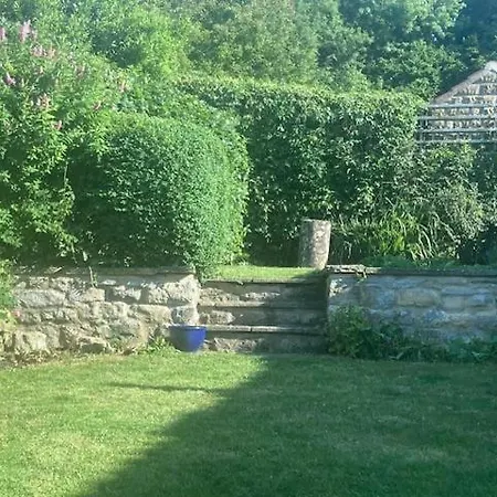 Bulldog * Ampleforth